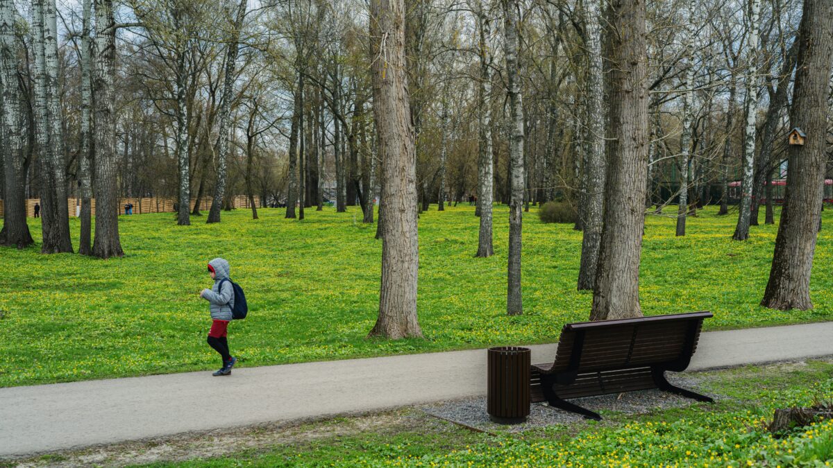 Coureur en pleine séance d'endurance fondamentale, foulée détendue dans un parc