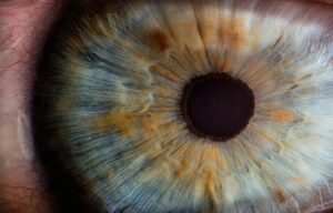 Gros plan sur un œil humain, certains signes oculaires peuvent révéler un risque cardiovasculaire