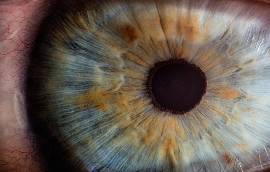 Gros plan sur un œil humain, certains signes oculaires peuvent révéler un risque cardiovasculaire