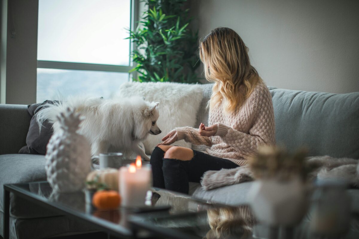 Bougies parfumées : ambiance chaleureuse dans un salon