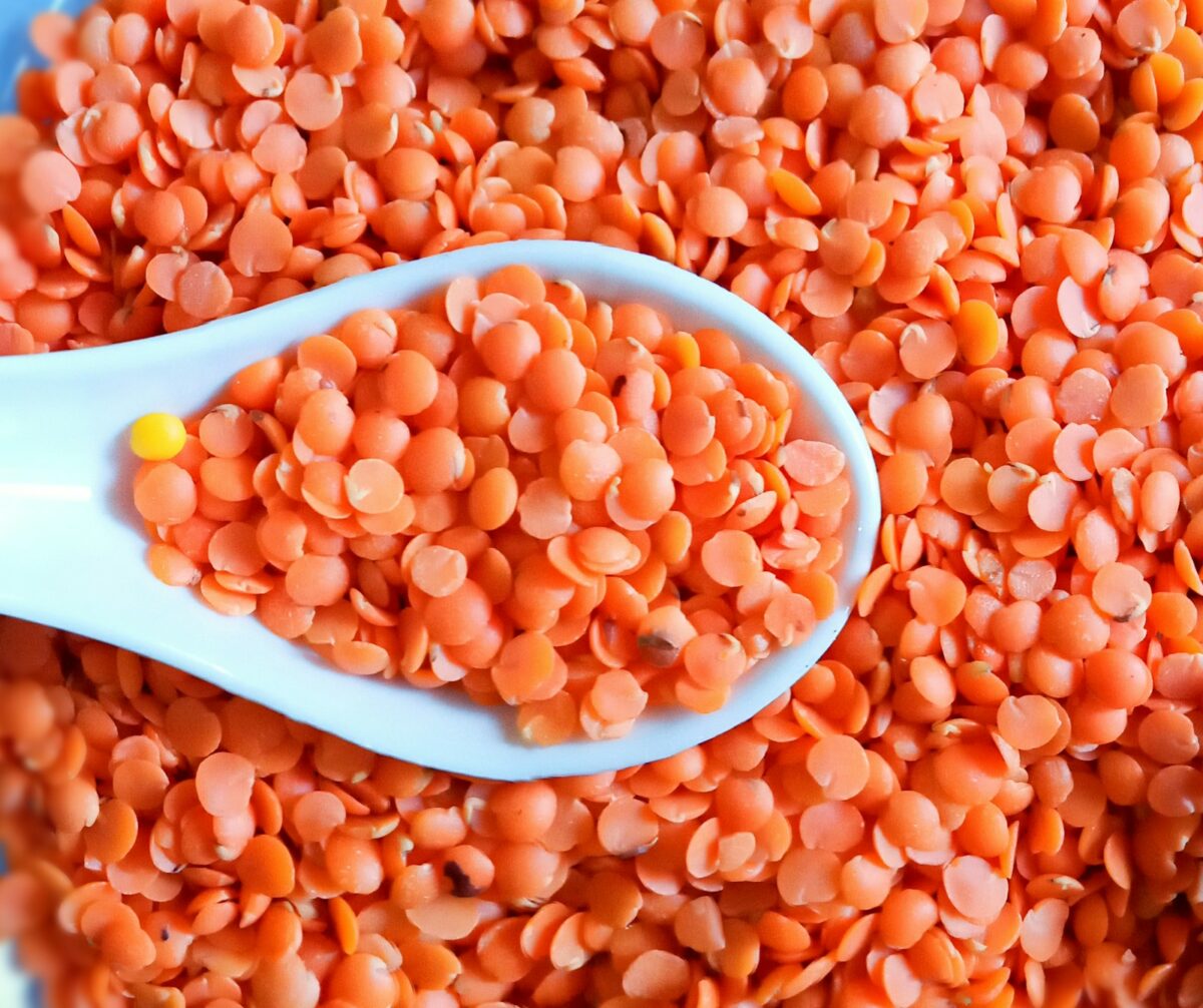 Gros plan sur des lentilles corail crues, légumineuse à cuisson rapide